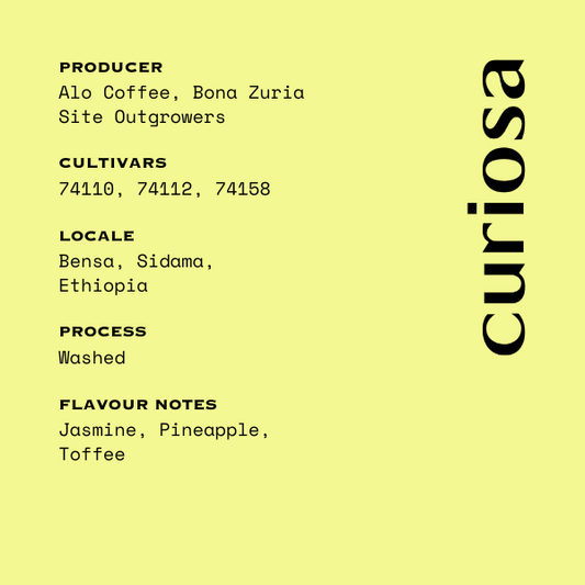 Alo Coffee - Ethiopia